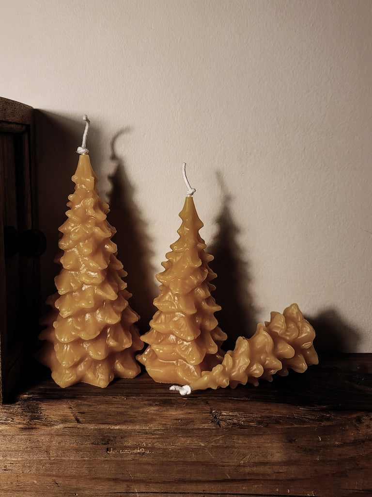 Pine Tree Candle. Yellow., - Beeswax Votive Candles, JOSEPH HENRY 1895